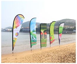 Different Beach Flags 
